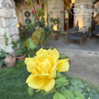 фото из отзыва ID 2645046