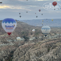 фото из отзыва ID 2645046