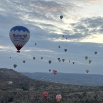 фото из отзыва ID 2645046