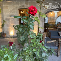 фото из отзыва ID 2645046