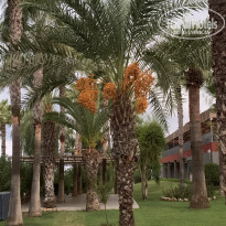 фото из отзыва ID 2645077