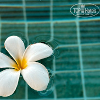 фото из отзыва ID 2645089