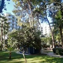 фото из отзыва ID 2645114