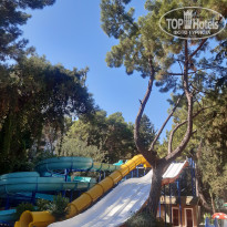 фото из отзыва ID 2645114