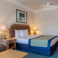 фото из отзыва ID 2645110