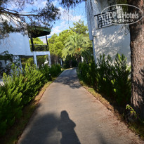 фото из отзыва ID 2645110