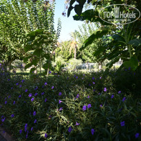 фото из отзыва ID 2645110