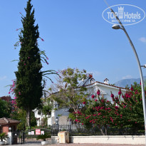 фото из отзыва ID 2645110