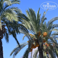 фото из отзыва ID 2645110