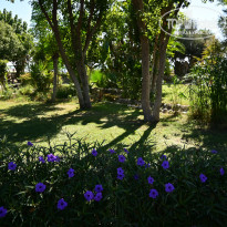 фото из отзыва ID 2645110