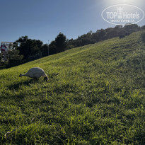 фото из отзыва ID 2645263