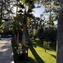 фото из отзыва ID 2645263