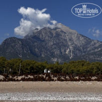 фото из отзыва ID 2645263