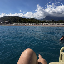 фото из отзыва ID 2645263