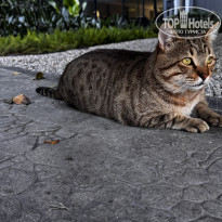 фото из отзыва ID 2645263