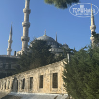 фото из отзыва ID 2645294