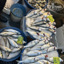 фото из отзыва ID 2645294