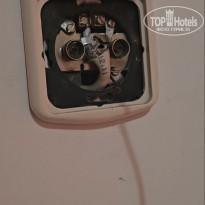 фото из отзыва ID 2645398