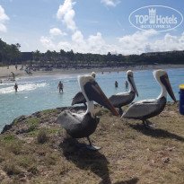 фото из отзыва ID 2645450