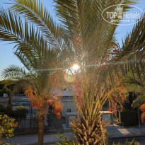 фото из отзыва ID 2645464