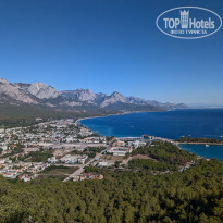 фото из отзыва ID 2645464