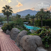 фото из отзыва ID 2645464