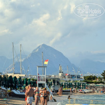 фото из отзыва ID 2645464