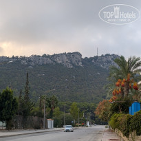 фото из отзыва ID 2645464