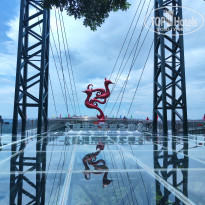 фото из отзыва ID 2645488