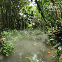 фото из отзыва ID 2645488