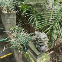 фото из отзыва ID 2645488