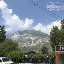 фото из отзыва ID 2645567