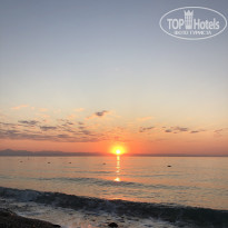 фото из отзыва ID 2645567