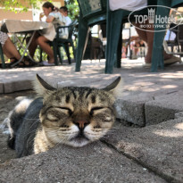 фото из отзыва ID 2645567