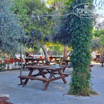 фото из отзыва ID 2645306