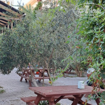 фото из отзыва ID 2645306