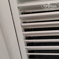 фото из отзыва ID 2645630