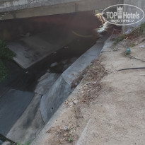 фото из отзыва ID 2645630