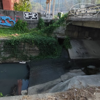 фото из отзыва ID 2645630