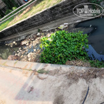 фото из отзыва ID 2645630