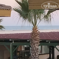 фото из отзыва ID 2645727