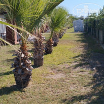 фото из отзыва ID 2645727