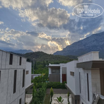 фото из отзыва ID 2645760