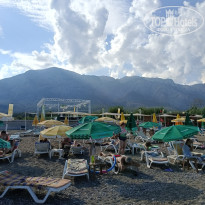 фото из отзыва ID 2645760