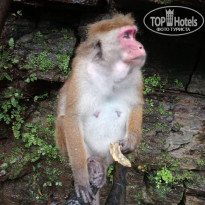 фото из отзыва ID 2645752