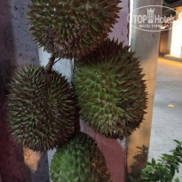 фото из отзыва ID 2645752