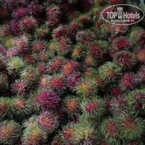 фото из отзыва ID 2645752