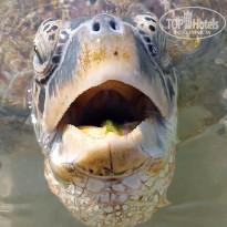 фото из отзыва ID 2645752