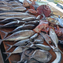 фото из отзыва ID 2645752