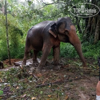 фото из отзыва ID 2645752